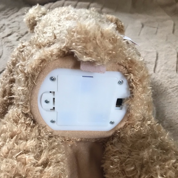 Gund Accessories | Adorable Peek A Boo Bear | Poshmark